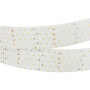 Светодиодная Лента RT 2-2500 24V Day4000 5x2 (2835, 875 LED, LUX) (Arlight, 36 Вт/м, IP20)
