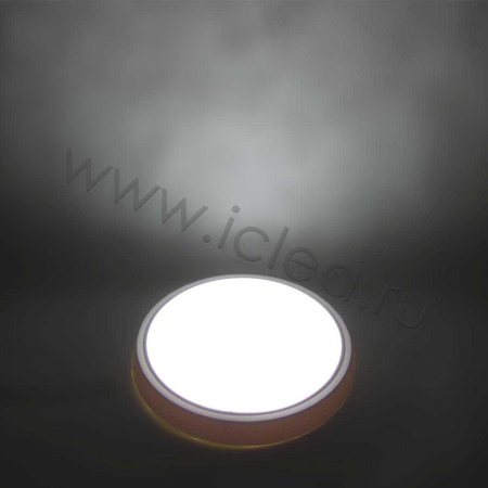 Светодиодный светильник MR-RW D310 (16W, Day White)