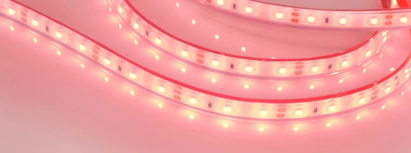 Светодиодная Лента герметичная RTW-PFS-A60-11mm 12V Red (4.8 W/m, IP68, 2835, 5m) (Arlight, -)