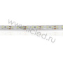 Светодиодная лента Standart class, 3528, 120led/m, White, 12V, IP65