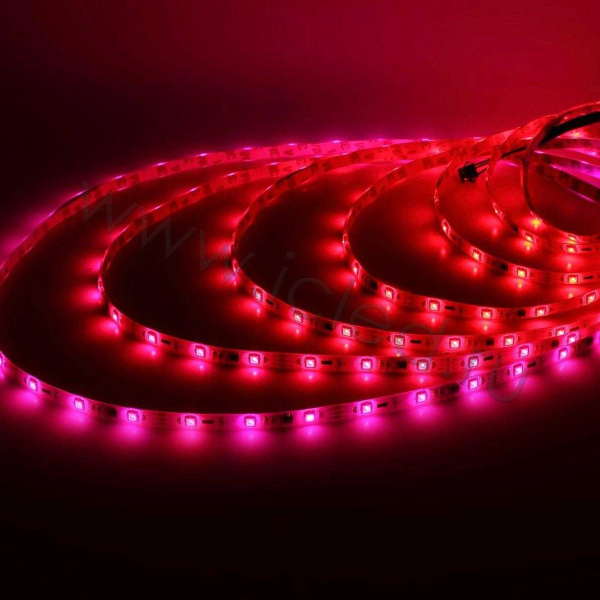 Светодиодная лента 5050, 30 led/m, A32, RGB-SPI, WS2811A controlled, 12V, IP65