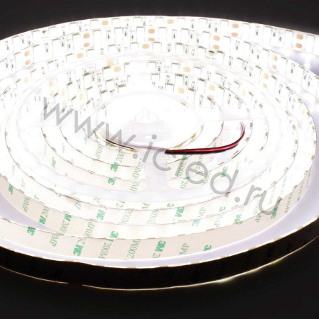 Светодиодная лента Standart PRO class, 5050, 120 led/m, Day White, 24V, IP65