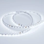 Светодиодная Лента RT 2-5000 24V Cool 8K 5mm 2x (3528, 600 LED, LUX) (Arlight, 9.6 Вт/м, IP20)