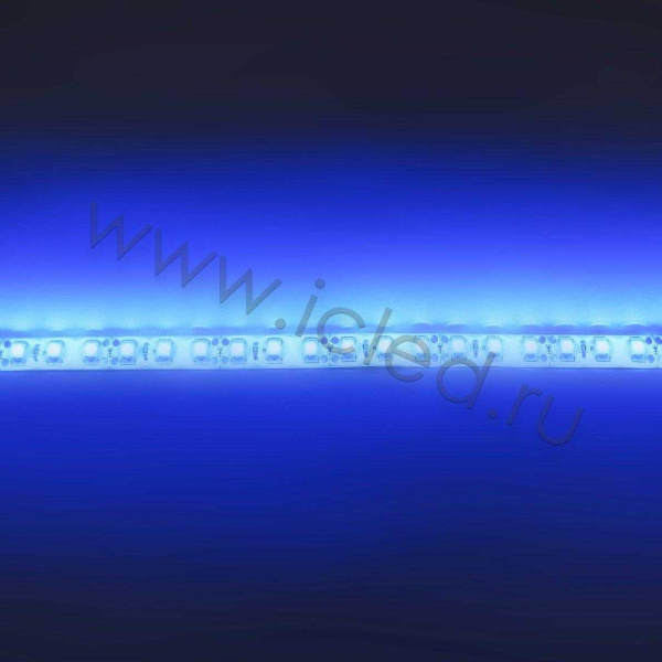 Светодиодная лента Standart class, 3528, 120led/m, Blue, 12V, IP65