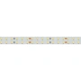 Светодиодная Лента RT 2-5000 24V Day4000 2x2 (2835, 980 LED, LUX) (Arlight, 20 Вт/м, IP20)
