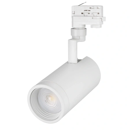 Светильник LGD-ZEUS-TRUECOLOR-4TR-R100-30W Day4000 CRI98 (WH, 20-60 deg, 230V) (Arlight, IP20 Металл, 3 года)