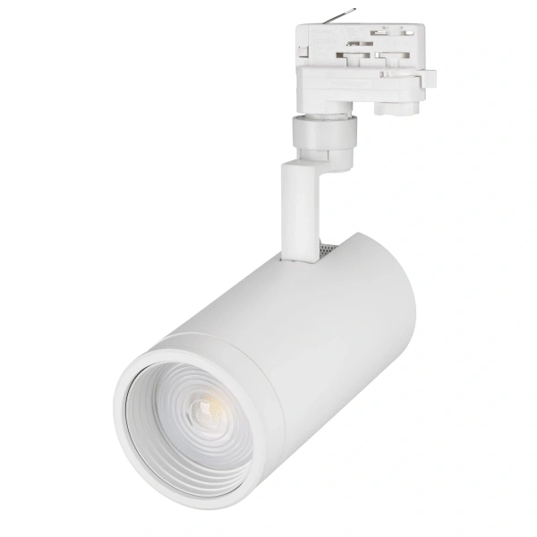 Светильник LGD-ZEUS-TRUECOLOR-4TR-R100-30W Day4000 CRI98 (WH, 20-60 deg, 230V) (Arlight, IP20 Металл, 3 года)