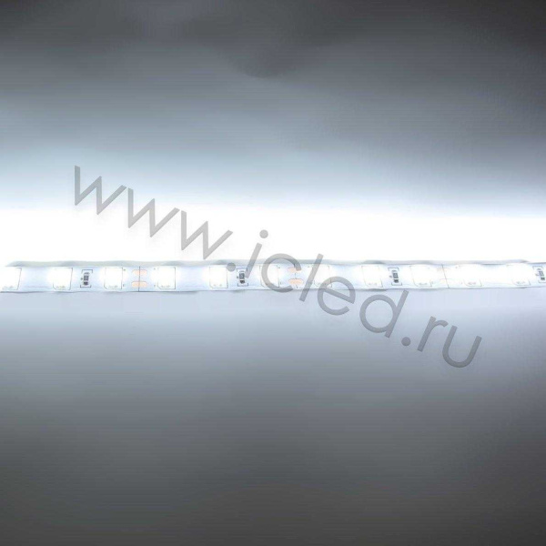 Светодиодная лента Standart PRO class 5630, 60led/m, white, 26Lm,12V, IP20, Р304