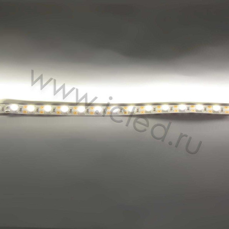 Светодиодная лента  Standart PRO class, 5050, 72led/m, Warm White, 12V, IP20