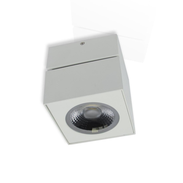 Накладной светодиодный светильник SW (12.3W, Day White)