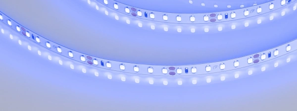Светодиодная Лента RT-A120-8mm 24V Blue (9.6 W/m, IP20, 5m) (Arlight, 9.6 Вт/м, IP20)