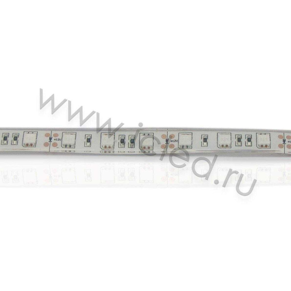 Светодиодная лента Standart PRO class, 5050, 60led/m, Blue, 12V, IP68