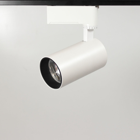 Светодиодный светильник трековый JH-GDD-A08-20W 2L PX88 (20W, 220V, day white)