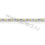 Светодиодная лента  Standart PRO class, 5050, 60led/m, Warm White, 12V, IP20