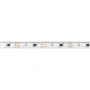 Светодиодная Лента герметичная DMX-PFS-B60-12mm 12V RGB-PX3 (14 W/m, IP68, 5060, 5m) (Arlight, -)