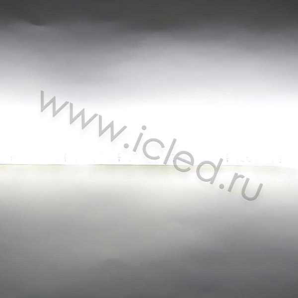 Светодиодная лента LUX class 2835 120led/m, warm white, 12V, IP65, N09