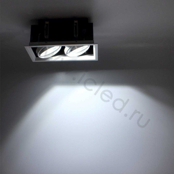 Светодиодный светильник карданный AR90-2 OD2 (220V, 2х20W, white)