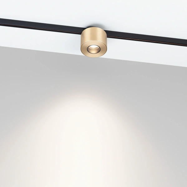 Светильник MAG-MICROCOSM-POINT-R60-5W Day4000 (BR, 36 deg, 24V) (Arlight, IP20 Металл, 3 года)