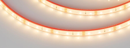 Светодиодная Лента герметичная RTW-PFS-A60-11mm 12V Warm3000 (4.8 W/m, IP68, 2835, 5m) (Arlight, -)