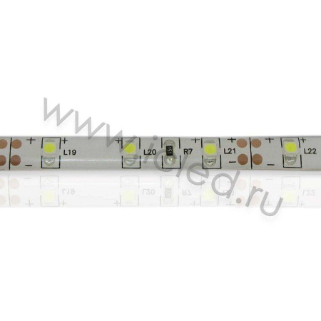 Светодиодная лента LUX class, 3528, 60 led/m, White,12V, IP65