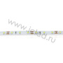 Светодиодная лента LUX class, 2835, 60led/m, White, 12V, N08, IP65