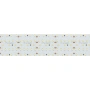 Светодиодная Лента S2-2500 24V White 6000K 59mm (2835, 420 LED/m, LUX) (Arlight, 30 Вт/м, IP20)
